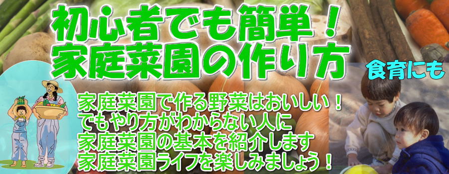 野菜の科名 連作障害にならないように野菜の科を覚えましょう